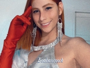 boahancoock Cam 5