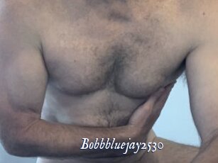 Bobbbluejay2530