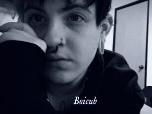 Boicub