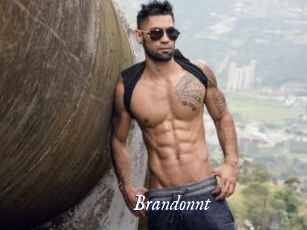 Brandonnt