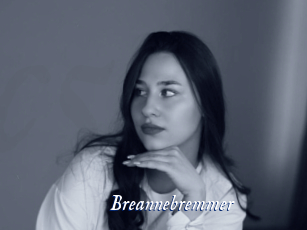 Breannebremmer