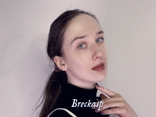 breckasp Cam 5