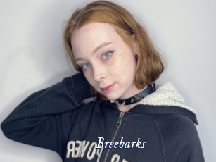 Breebarks