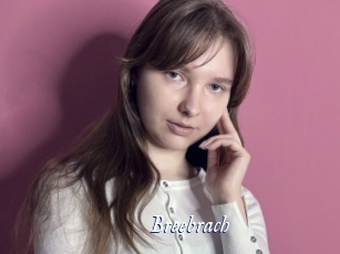 Breebrach