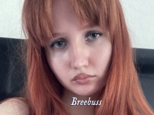 Breebuss