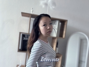 Breecoote