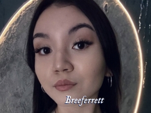 Breeferrett
