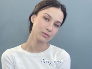 Breeganet