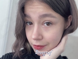 Breegrief