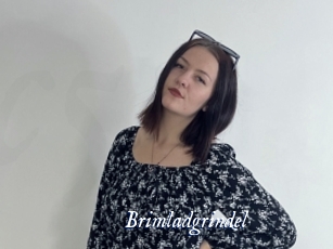 Brimladgrindel