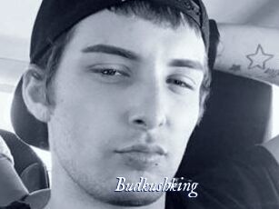 Budkushking