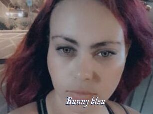 Bunny_bleu