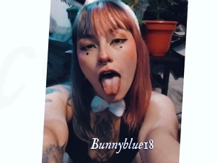 Bunnyblue18