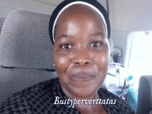 bustyperverttatas Cam 5