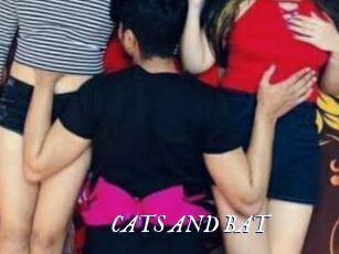 CATS_AND_BAT