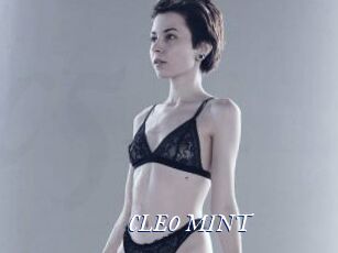 CLEO_MINT