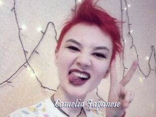 Camelia_Japanese