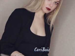 CariBois