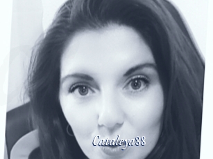 Cataleya88