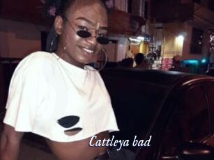 Cattleya_bad