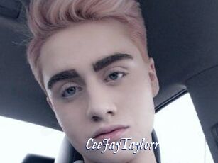 CeeJayTaylorr