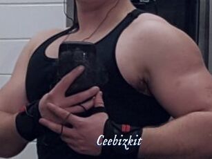 Ceebizkit