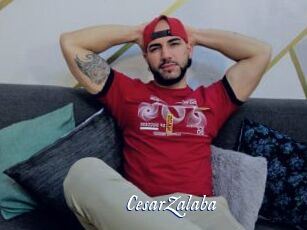 CesarZalaba