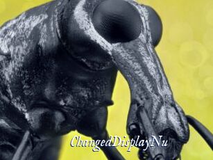 ChangedDisplayNu