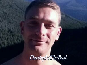 CharleyInTheBush