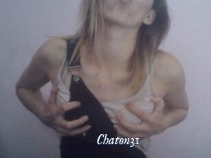 Chaton31