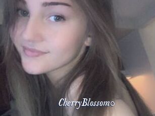 CherryBlossom0