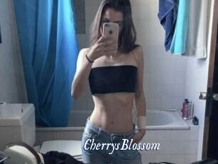 CherrysBlossom Cam 5