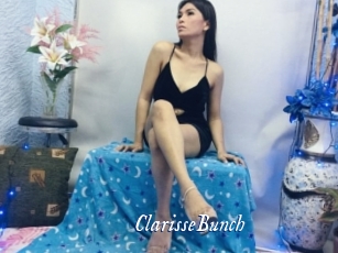 ClarisseBunch Cam 5