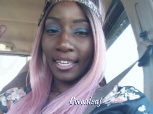 Cocoaleaf