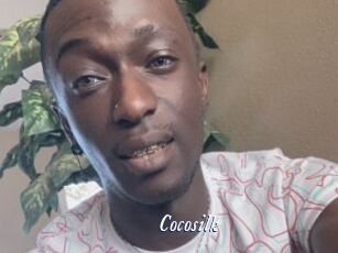 Cocosilk