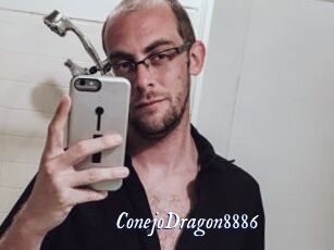 ConejoDragon8886