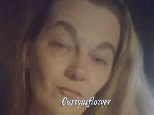 Curiousflower