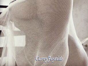 CurvyJoyride