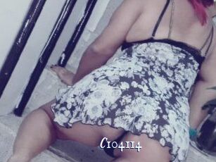 C104114