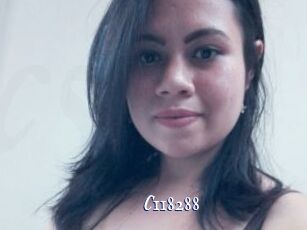 C118288