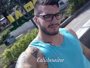 Calicheneitor