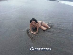 Canariona23