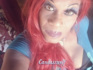 candasswolf Cam 5