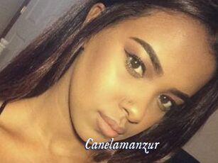 Canelamanzur