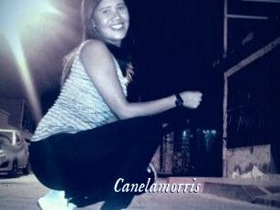 Canelamorris