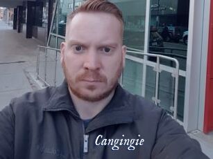 Cangingie