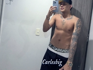 carlesbig Cam 5
