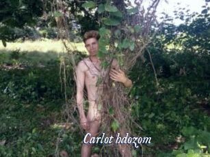 Carlot_hdozom