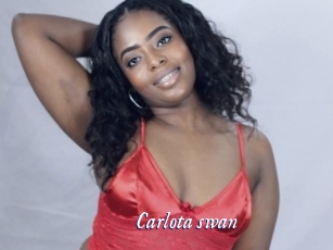 Carlota_swan