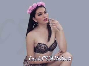 CassieCUMSalot18